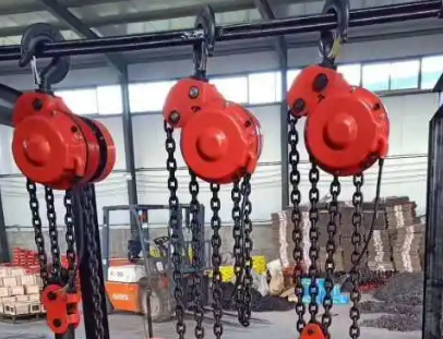 為什么嚴格禁止爬架葫蘆曬太陽